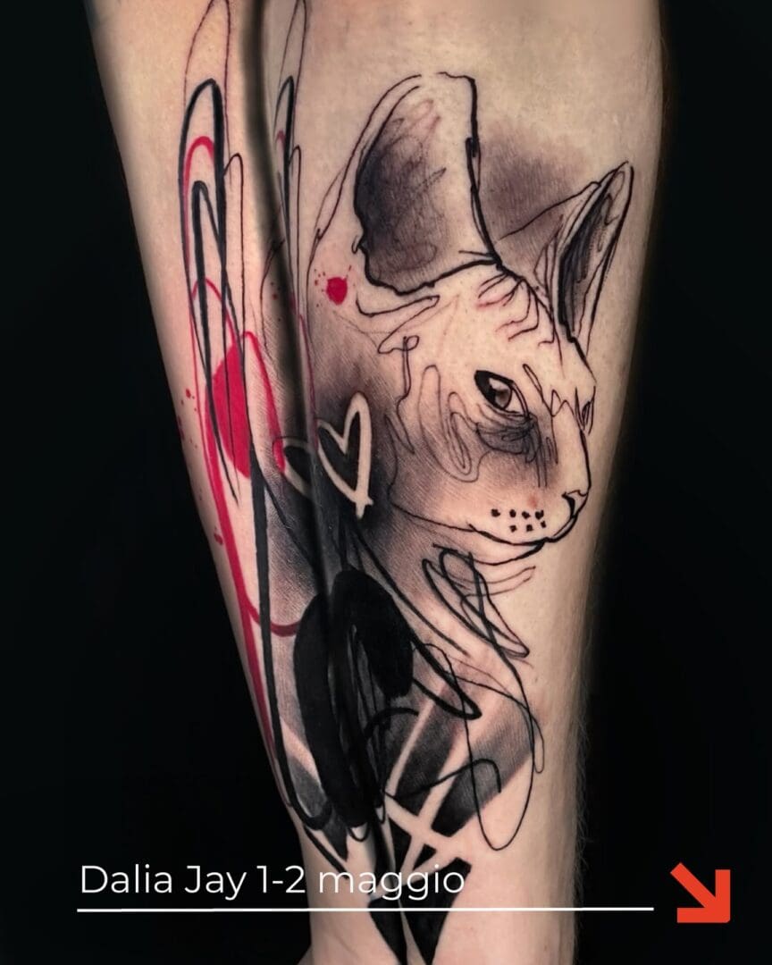 661253404 17963200476070136 1857871875417636582 n